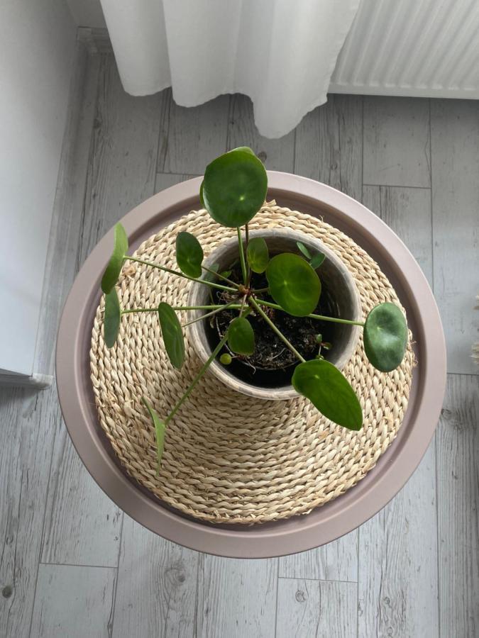 Apartament BellaPola Nysa Esterno foto